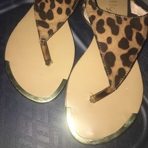 Leopard, gold and black sandals